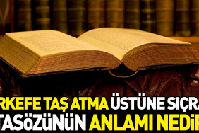 cirkefe-tas-atma-ustune-sicrar-atasozunun-manasi-nedir-X18cDPcR.jpg