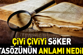civi-civiyi-soker-atasozunun-manasi-nedir-SIxI3QjQ.jpg