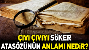 civi-civiyi-soker-atasozunun-manasi-nedir-SIxI3QjQ.jpg