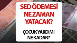 cocugu-okula-giden-ailelere-yardim-odemesi-sed-yardim-basvurusu-nasil-yapilir-ve-ne-vakit-BAmqa9yc.jpg