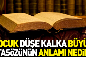 cocuk-duse-kalka-buyur-atasozunun-manasi-nedir-UsWTR3Dj.jpg