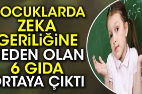 cocuklarda-zek-geriligine-neden-olan-6-besin-ortaya-cikti-1zck5qwt.jpg