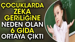 cocuklarda-zek-geriligine-neden-olan-6-besin-ortaya-cikti-1zck5qwt.jpg