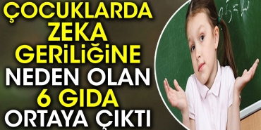 cocuklarda-zek-geriligine-neden-olan-6-besin-ortaya-cikti-1zck5qwt.jpg