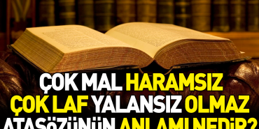 cok-mal-haramsiz-cok-laf-palavrasiz-olmaz-atasozunun-manasi-nedir-DTV8hHPl.jpg