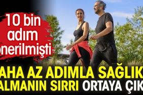 daha-az-adimla-saglikli-kalmanin-sirri-ortaya-cikti-10-bin-adim-onerilmisti-qYD1RrAO.jpg
