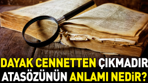dayak-cennetten-cikmadir-atasozunun-manasi-nedir-EtJrZ5PF.jpg