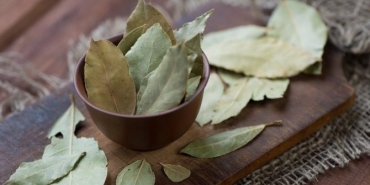 defne-yapragi-neye-uygun-geliyor-defne-yapragi-yararlari-nelerdir-bEyzcMDV.jpg