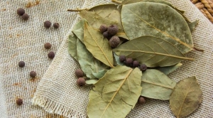 defne-yapraginin-yararlari-nelerdir-defne-yapraginin-icinde-hangi-vitaminler-bulunur-FbiRIkOv.jpg