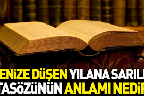 denize-dusen-yilana-sarilir-atasozunun-manasi-nedir-z2e3xRba.jpg