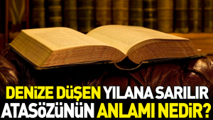 denize-dusen-yilana-sarilir-atasozunun-manasi-nedir-z2e3xRba.jpg
