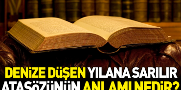 denize-dusen-yilana-sarilir-atasozunun-manasi-nedir-z2e3xRba.jpg
