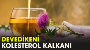 deve-dikeninin-cok-az-bilinen-mukemmel-faydalari-b5ras8DH.jpg