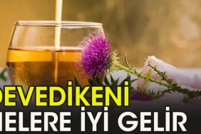 devedikeninin-az-bilinen-faydalari-LlsJylZ6.jpg