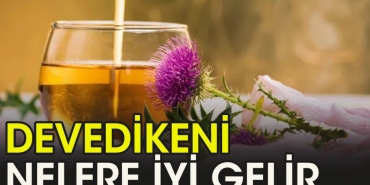 devedikeninin-az-bilinen-faydalari-LlsJylZ6.jpg