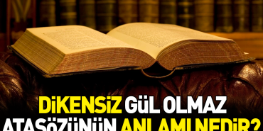 dikensiz-gul-olmaz-atasozunun-manasi-nedir-kjE2NWkk.jpg