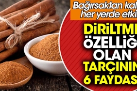 diriltme-ozelligi-olan-tarcinin-6-yarari-bagirsaktan-kalbe-her-yerde-tesirli-ajHBr3kv.jpg
