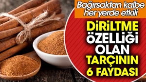 diriltme-ozelligi-olan-tarcinin-6-yarari-bagirsaktan-kalbe-her-yerde-tesirli-ajHBr3kv.jpg