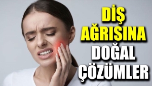 dis-agrisina-dogal-tahliller-HF8zmJzO.jpg
