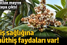 dis-sihhatine-fevkalade-yararlari-var-mucize-meyve-ortaya-cikti-Xl6kHvOW.jpg