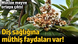 dis-sihhatine-fevkalade-yararlari-var-mucize-meyve-ortaya-cikti-Xl6kHvOW.jpg