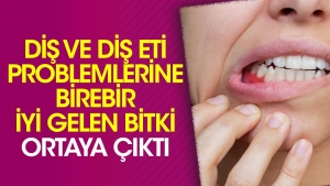 dis-ve-dis-eti-sorunlarina-birebir-duzgun-gelen-bitki-ortaya-cikti-gbl7DAwR.jpg
