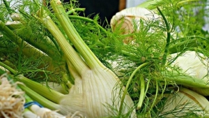 dogal-agri-kesici-arapsaci-otunun-yararlari-nelerdir-IS6iHOIL.jpg