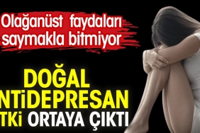 dogal-antidepresan-bitki-ortaya-cikti-fevkal-de-yararlari-saymakla-bitmiyor-k7FUYe9n.jpg