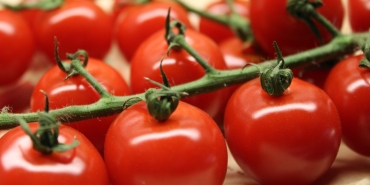 domatesin-sihhate-8-guclu-yarari-suLwBj9H.jpg