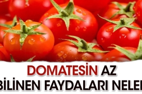 domatesin-sihhate-olan-yararlari-neler-vgPNcwvl.jpg