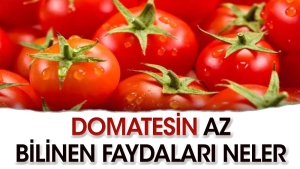 domatesin-sihhate-olan-yararlari-neler-vgPNcwvl.jpg