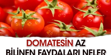domatesin-sihhate-olan-yararlari-neler-vgPNcwvl.jpg