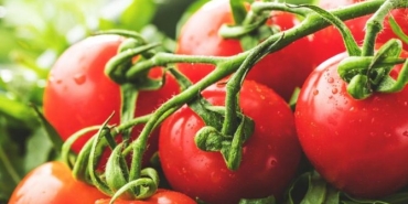 domatesin-yararlari-nelerdir-6ZqjAcDx.jpg