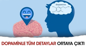 dopamin-nedir-eksikliginin-ziyanlari-nelerdir-ne-ise-fayda-ve-dopamin-detoksu-nasil-yapilir-6qbpavxt.jpg