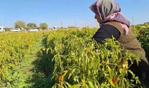 dunya-ciftciler-gunu-nedir-dunya-ciftciler-gunu-ne-vakitten-beri-kutlaniyor-ej7wIkTk.jpg