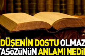 dusenin-dostu-olmaz-atasozunun-manasi-nedir-bGgj3Wr8.jpg