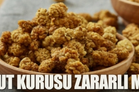dut-kurusu-ziyanli-mi-knhtOgxO.jpg