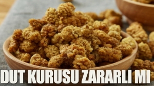 dut-kurusu-ziyanli-mi-knhtOgxO.jpg