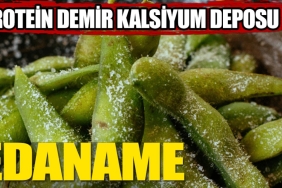 edamame-ne-ise-fayda-qU2QO3jr.jpg
