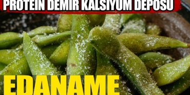 edamame-ne-ise-fayda-qU2QO3jr.jpg