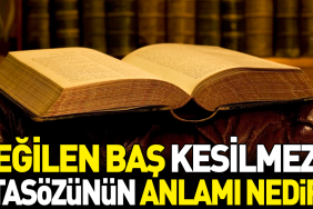 egilen-bas-kesilmez-atasozunun-manasi-nedir-wbCzIPZO.jpg