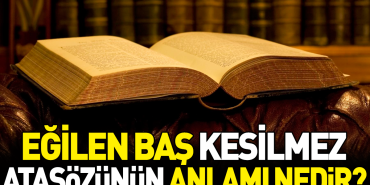 egilen-bas-kesilmez-atasozunun-manasi-nedir-wbCzIPZO.jpg