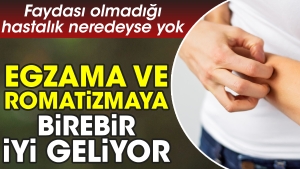 egzama-ve-romatizmaya-birebir-l-geliyor-yarari-olmadigi-hastalik-neredeyse-yok-1AxWE1IG.jpg
