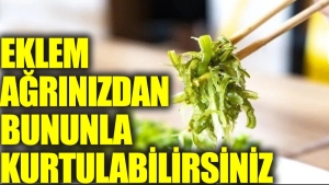 eklem-agrilarini-hangi-besinler-guzellestirir-bfvDfUMl.jpg