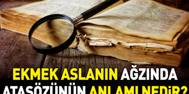 ekmek-aslanin-agzinda-atasozunun-manasi-nedir-lbXOQ3bl.jpg