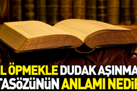 el-opmekle-dudak-asinmaz-atasozunun-manasi-nedir-FW292cUb.jpg