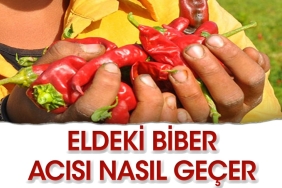 eldeki-biber-acisi-nasil-gecer-b-8WYvUEh9.jpg