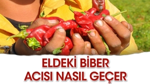 eldeki-biber-acisi-nasil-gecer-b-8WYvUEh9.jpg