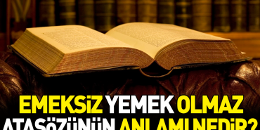 emeksiz-yemek-olmaz-atasozunun-manasi-nedir-e97CgjO3.jpg