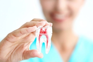 endodonti-nedir-J23AWmw7.jpg